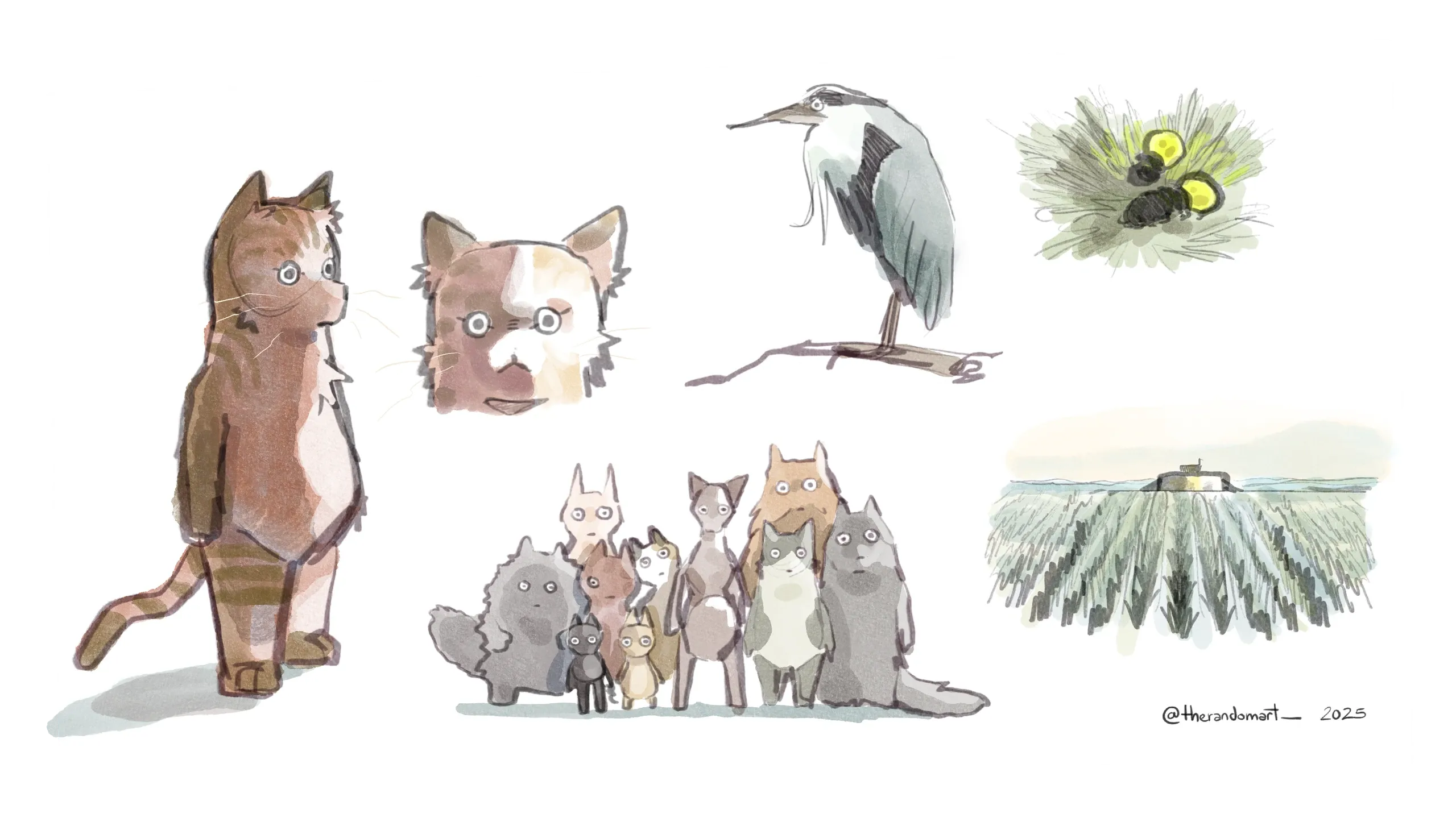 Watercolour studies of cats and a heron (placeholder)