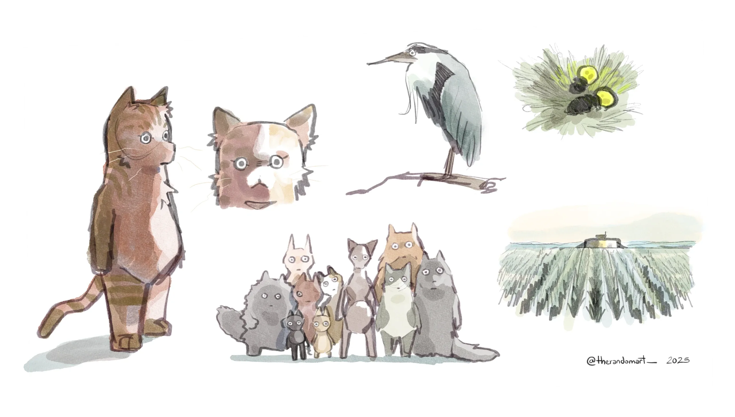 Watercolour studies of cats and a heron (placeholder)